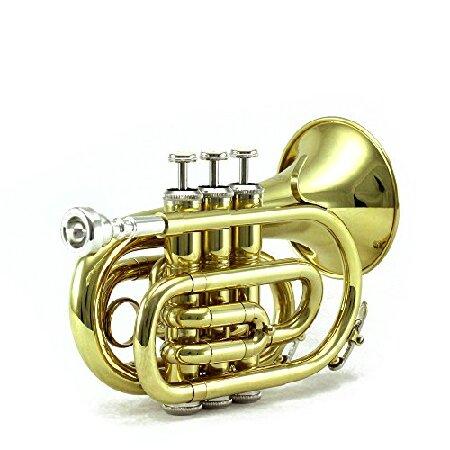 Bb Pocket Trumpet　Bb　ポケット　トランペット　Sky社　Gold 並行輸入品