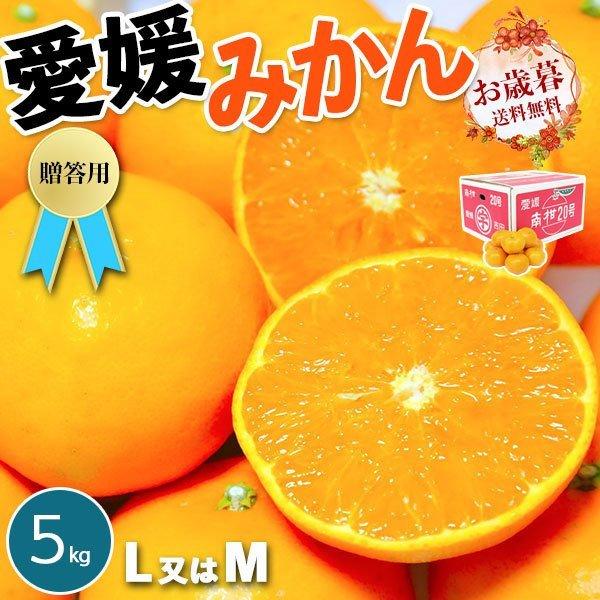 愛媛 みかん 贈答用 5kg M または Lサイズ 1箱 愛媛県 宇和島産 お歳暮 ギフト 蜜柑 JAえひめ南より直送 果物 フルーツ ギフト広場