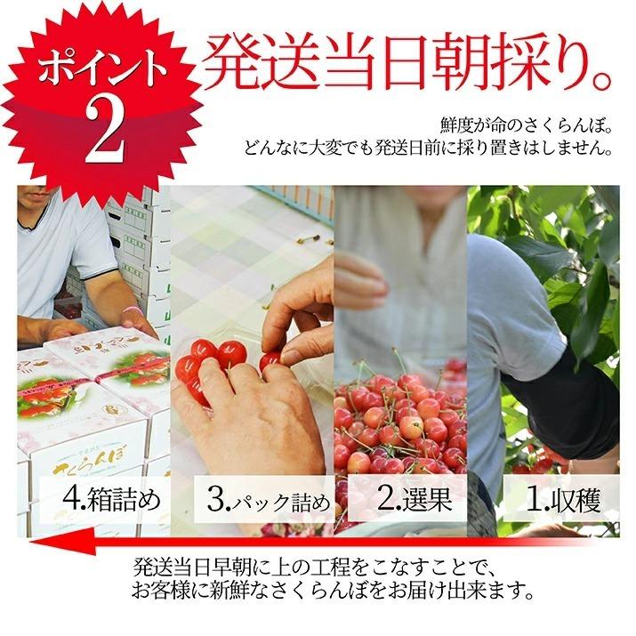 さくらんぼ 佐藤錦 Ｍ玉 ７００ｇ 山形 秀品 化粧箱入 2024 山形県産 送料無料 贈答用 サクランボ Mサイズ (遠方送料加算)