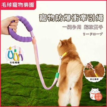 【現貨速發】雙排漸變牽繩💜尼龍反光牽繩 牽繩 寵物牽繩 狗牽繩 牽引繩 狗繩 遛狗繩牽繩大型犬防暴衝牽繩寵物繩狗用品