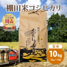 極少量米:数量限定令和5年産 新潟県上越市大島区産 棚田米コシヒカリ 10kg(2kg×5)玄米