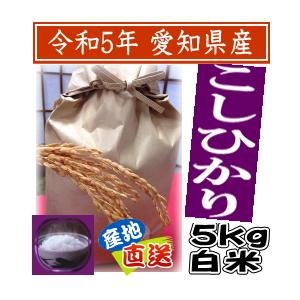 新米 白米 こしひかり 5kg 令和5年産 愛知県産