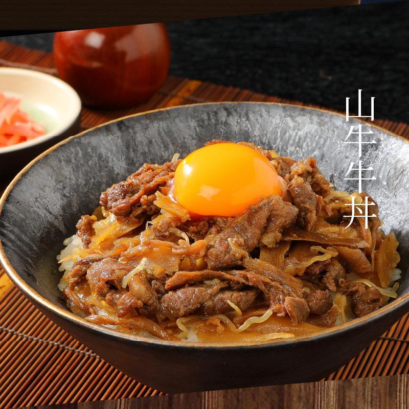 宮崎県産牛100％ 牛丼の具 160g×10食 国産 レトルト おかず つゆだく 常温保存