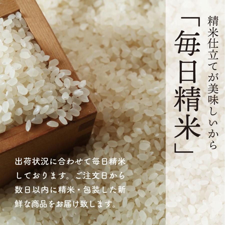 新米出荷開始！サキホコレ5ｋｇ 白米 令和5年産 新米 数量限定 予約販売 特別栽培米 御歳暮