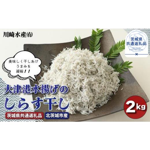 ふるさと納税 茨城県 鉾田市 大津港水揚げのしらす干し　2kg（茨城県共通返礼品／北茨城市産）