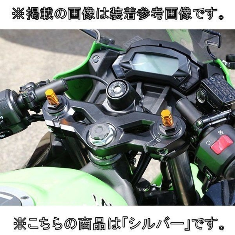 アグラス AGRAS フロントホイールカラー Ninja250SL シルバー 316-495