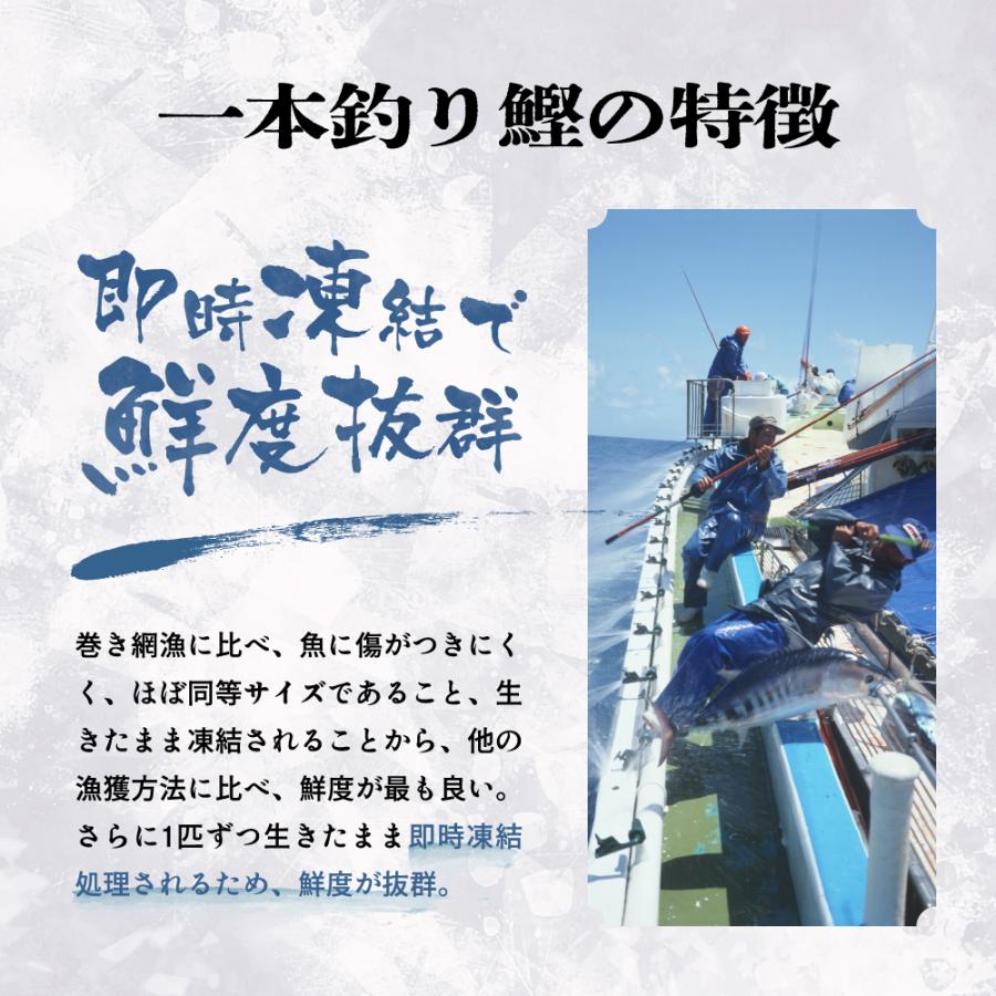 お歳暮 おつまみ 鹿児島県産 特大 ウナギ カツオのタタキ セット 枕崎市かつお公社