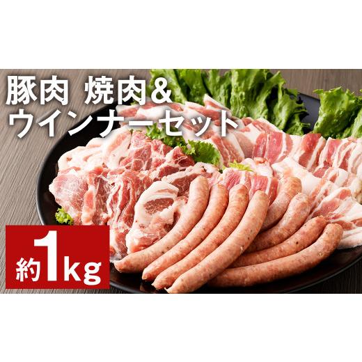 ふるさと納税 熊本県 菊池市 豚肉（金TONG）焼肉＆ウインナー セット 計1kg 4種 食べ比べ 国産