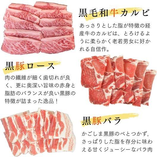 かごしま焼き肉セット nikulabo＞