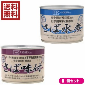 鯖 水煮 缶 創健社 さば缶 選べる６個セット 全２種