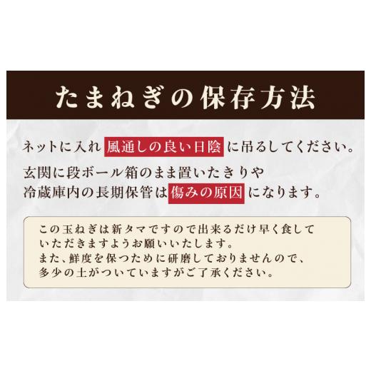 ふるさと納税 大阪府 泉佐野市 射手矢さんちの泉州プレミアムたまねぎ 10kg