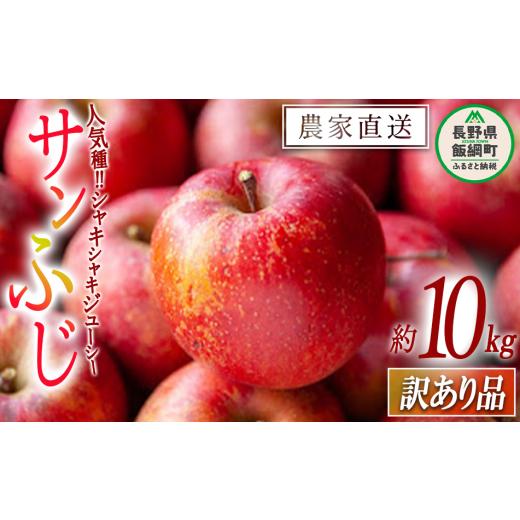 ふるさと納税 長野県 飯綱町 りんご サンふじ 訳あり 10kg 令和5年度収穫分 沖縄県への配送不可 2023年12月上旬頃から2024年1月中旬頃まで順次発送予定 宮本フ…