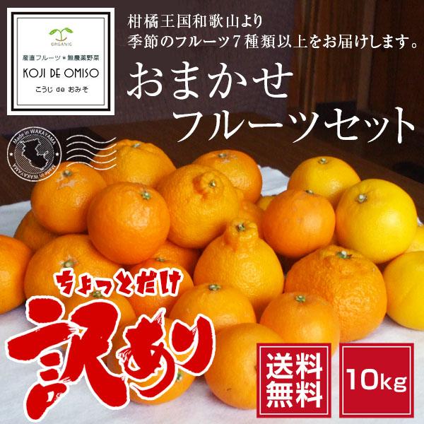 和歌山より産地直送！ おまかせフルーツセット 7種類以上 約10kg［送料無料］ ■期日指定不可・発送翌日受取限定 ※翌日お届け時間帯にご注意ください■