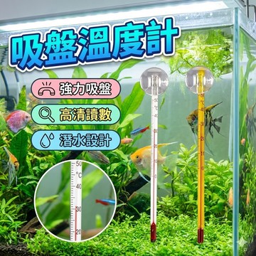 【台灣出貨】吸盤溫度計｜黃白溫度計｜水族溫度計｜魚缸溫度計｜棒式溫度計｜水族溫控計