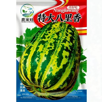 【原廠包裝】台灣適種！八里香甜瓜種子（Bali Fragrant Melon） 薄皮多汁 高甜度香瓜 家庭菜園 陽台盆栽