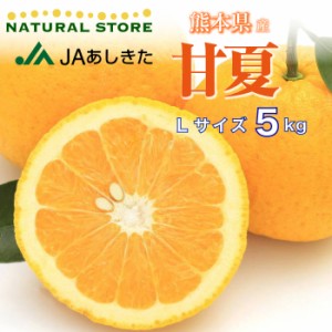 [予約 2月1日-2月28日の納品] 甘夏 あまなつ 甘夏みかん 夏みかん 5kg L 柑橘 熊本県産ほか 冬ギフト お歳暮 御歳暮