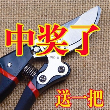原裝德國進口SK5強力園藝修枝剪新款園林傢用省力款花枝園藝剪 ZBVL