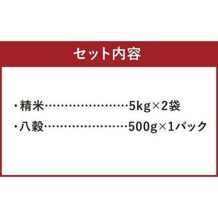 ふるさと納税 菊池米・きくち古代米セットD（ヒノヒカリ 八穀）計10.5kg 精米 お米 米   熊本県菊池市