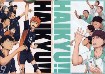 鳥野高中/青葉城西A4透明文件夾SET(2張組)排球少年！勝者和敗者