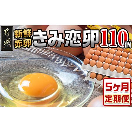 ふるさと納税 「きみ恋卵」110個定期便(5ヶ月)_T40（5）-2901 _(都城市) 赤卵 きみ恋卵 Ｍサイズ 110個 約6.5kg 宮崎県都城市