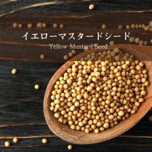 イエロー マスタード シード Yellow Mustard Seed   マスタードシード スパイス ホールスパイス インド食材 Ambika(アン