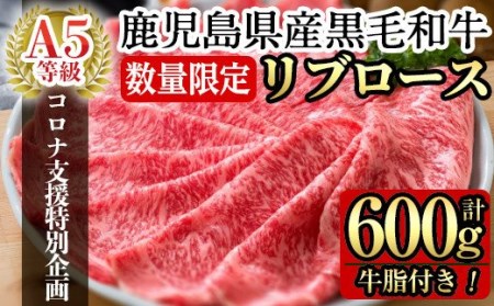 C-080 ＜数量限定！＞鹿児島県産黒毛和牛リブロース肉600g(A-5等級)