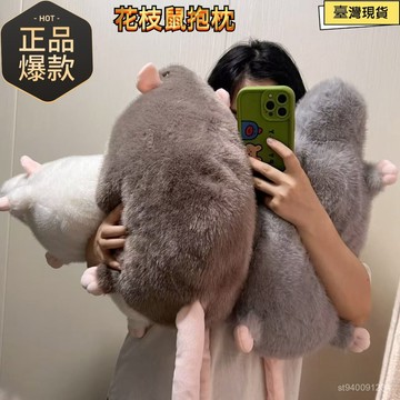 ☀️臺灣出貨☀️花枝鼠玩偶 花枝鼠公仔 仿真老鼠玩偶 南方大老鼠 大老鼠公仔 花枝鼠 可愛老鼠玩偶 禮物 交換禮物 搞怪