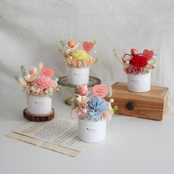 母親節∣永生花+乾燥花∣春日序曲圓盆小桌花 甜甜價∣康乃馨盆花