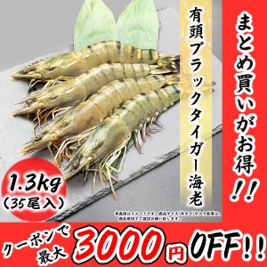 大サイズ 有頭海老 35尾 1.3kg ブラックタイガー BT ブラック 海老 エビ お取り寄せ 食品 冷凍便 プロ愛用