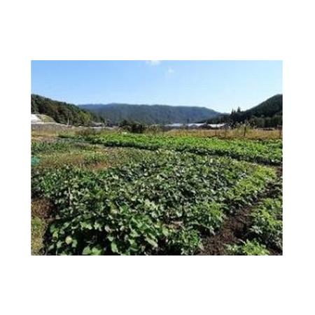 ふるさと納税 旬の野菜セット 広島県安芸高田市