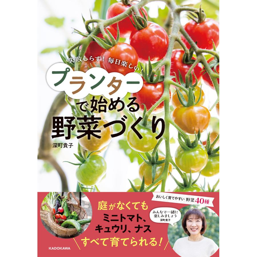 失敗しらず 毎日楽しい プランターで始める野菜づくり