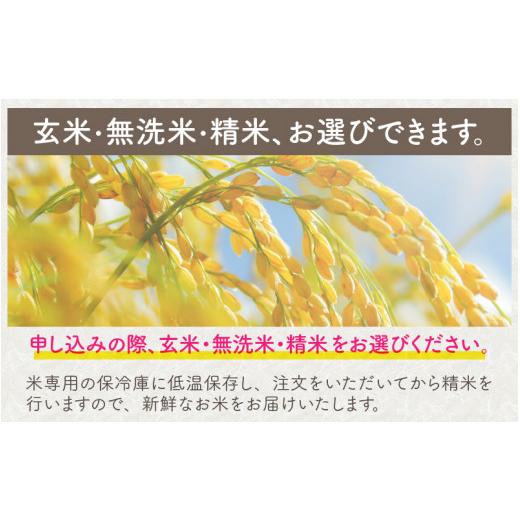 ふるさと納税 福井県 坂井市 福井県坂井市丸岡町産 コシヒカリ5kg×12回 計60kg（無洗米）  [I-11301_01]