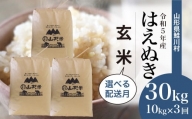 ＜令和5年産＞ 鮭川村産 はえぬき  30kg定期便 （10kg×3回発送）