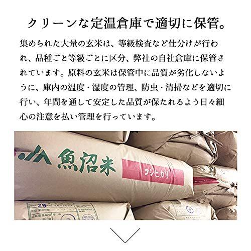 新米 新潟産こしいぶき 10kg 令和３年産