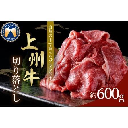 ふるさと納税 牛肉 切り落とし  600g 群馬県 産 千代田町 群馬県千代田町