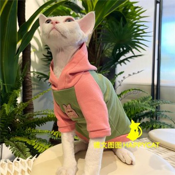 圖圖無毛貓衣服斯芬克斯德文衣服兩種版型5色純棉連帽衛衣