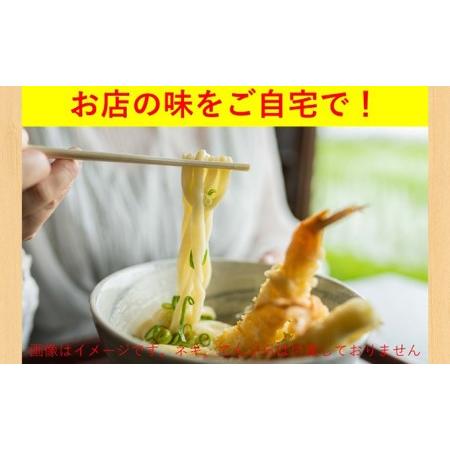 ふるさと納税 うどん あやうた製? ゆでうどん 6人前 だし 付き 冷凍 丸亀 讃岐 讃岐うどん さぬきうどん つゆ 小袋 付き セット 麺類 加工食品 .. 香川県丸亀市