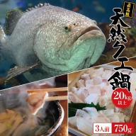 天然 最高級クエ 20kg 以上  クエ鍋セット 3人前(250g×3)    高級 海鮮 お魚 魚  くえ鍋 クエ鍋 くえ くえ天然  冷凍 海産物