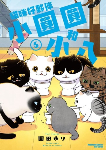 貓咪好夥伴小圓圓和小八（5）