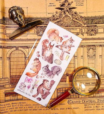 KR497呆萌松鼠B Cute squirrel B