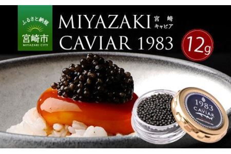 MIYAZAKI　CAVIAR 1983　12g