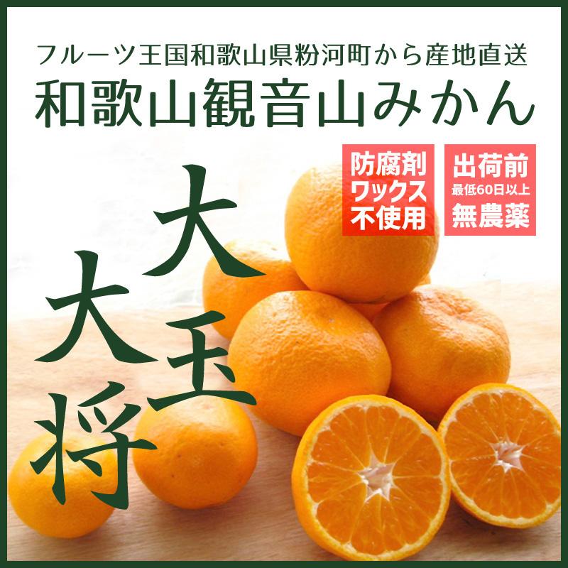 観音山みかん 大玉大将 2kg 和歌山県産温州みかん 観音山フルーツガーデン 送料無料