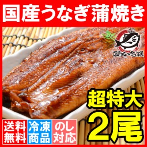 送料無料 超特大！国産うなぎ蒲焼き 平均250g前後×2尾 タレ付き 柔らかうなぎを丁寧に焼き上げた！まさに国産の最高級品質。デパ地下に