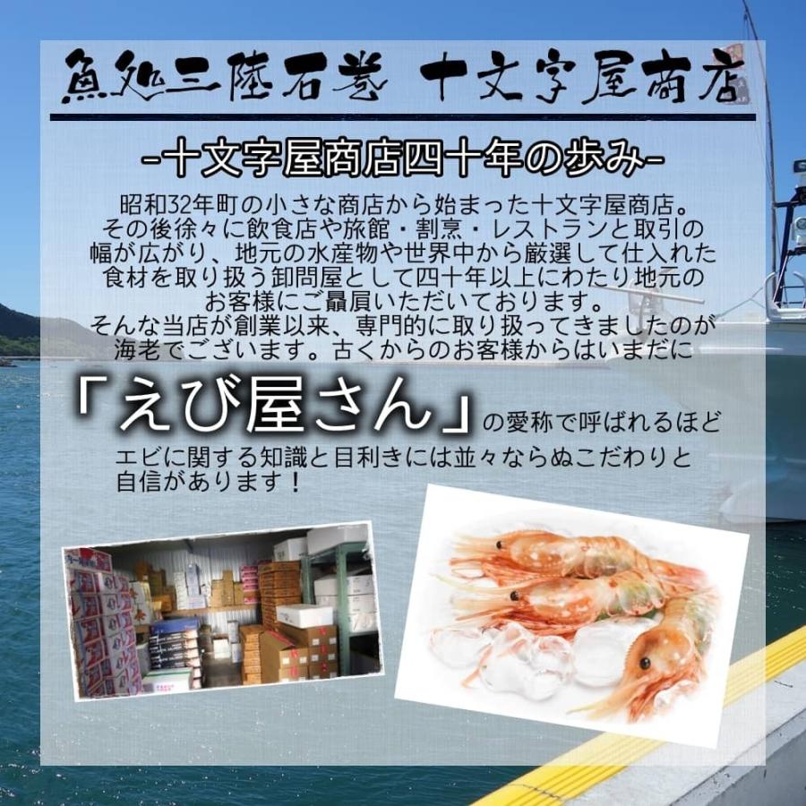 日本海産お刺身用 甘えび 800g前後 約55尾入 甘エビ 業務用 訳あり サイズ小さめ あまエビ 甘海老 甘エビ あまえび アマエビ 送料無料