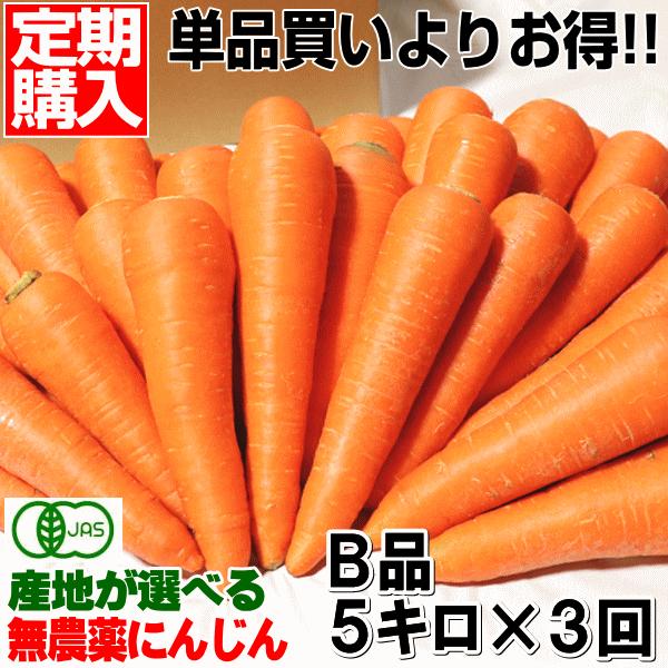 無農薬人参 ジュース用に最適 定期購入 産地が選べる無農薬にんじんＢ品５キロ×3回 計15キロ 訳あり 送料無料