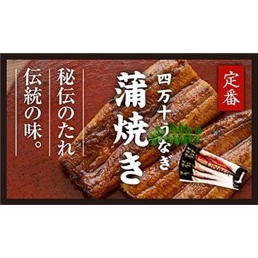 四万十うなぎ 蒲焼 白焼 味付け肝 ちまき詰め合わせセット