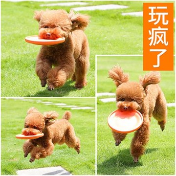 寵物邊牧小型犬幼犬小狗柔軟飛盤狗專用狗狗玩具耐咬戶外訓狗飛碟