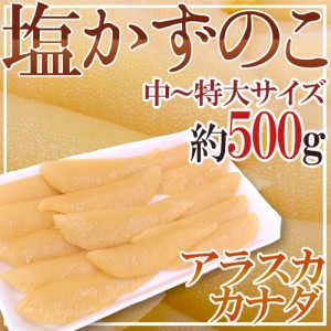 アラスカ・カナダ・北海道 ”塩数の子” 中～特大サイズ 約500g おせち♪ご家庭・業務用にも♪塩かずのこ 送料無料