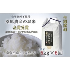 桑原農産のお米　コシヒカリ5kg 全6回