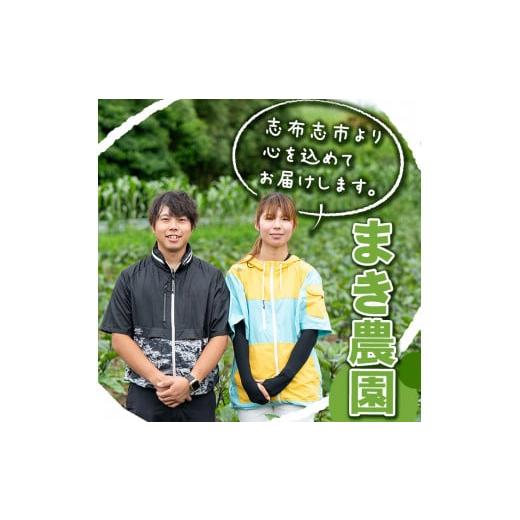 ふるさと納税 鹿児島県 志布志市 ＜先行予約受付中！R6年1月頃発送予定＞鹿児島県志布志産 栗かぼちゃ(栗ゆたか・栗五郎)(計4kg) a0-28…